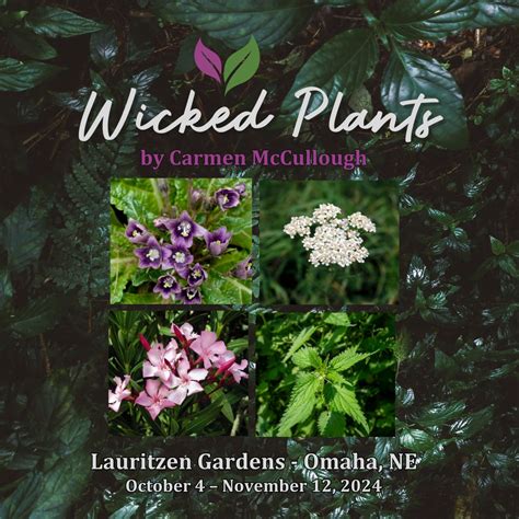 Wicked Plants