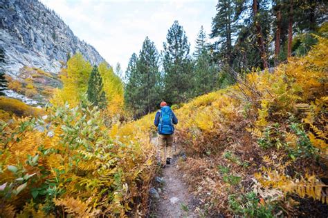 Hike in autumn season stock image. Image of alone, adventure - 156687925