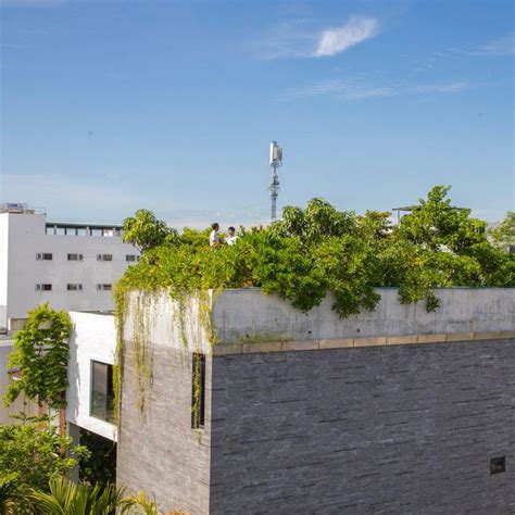 Vo Trong Nghia Plants Fruit Trees On The Roof Of A House In Vietnam Roof Garden Cool