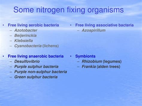 PPT - Nitrogen Fixation by Cyanobacteria PowerPoint Presentation, free ...