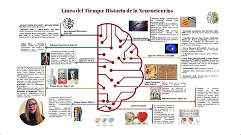 PresentaciÓn LÍnea De Tiempo Historia De La Neurociencias Youtube