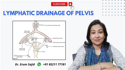 Lymphatic Drainage Of Pelvis Dnb Theory Made Easy Dnb Obgyn Coaching