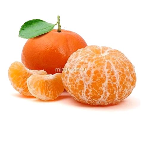 Jual Jeruk Mandarin Organik Segar Fresh Buah Orange Fruits Organic