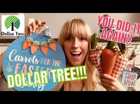 Dollar Tree Haul Part Incredible And Shocking New Finds And Name