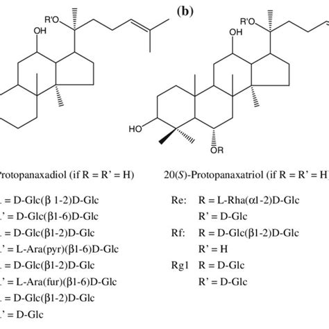 Structures Of The Ginsenosides Investigated In This Work A Structures