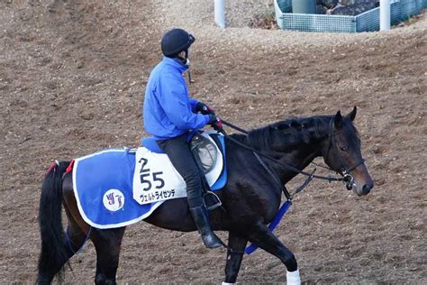 『日経新春杯』について画像をまとめてみた 芸能早わかり速報