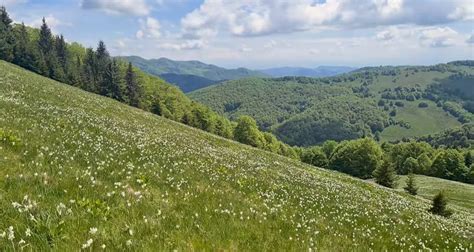 Locul unic din Munții Apuseni vizitat de mii de turiști în luna mai Ca