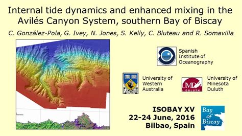 Internal tide dynamics and enhanced mixing in the Avilés Canyon System