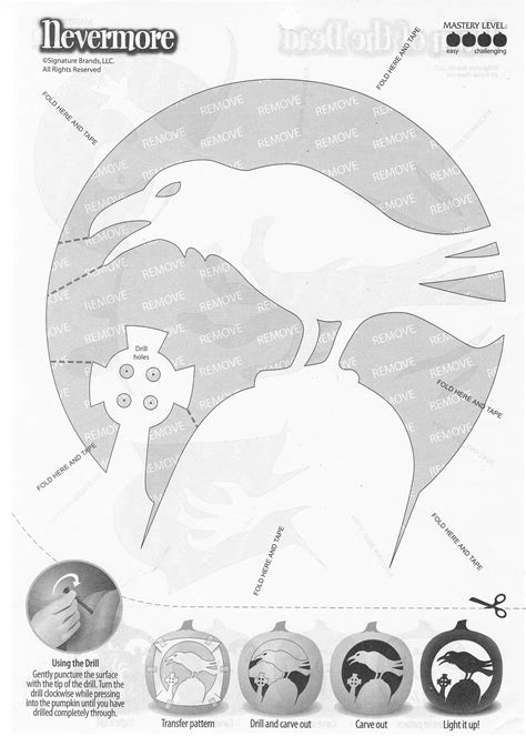 Ravenbird Pumpkin Stencil Pumpkin Pattern Pumpkin Template Jack