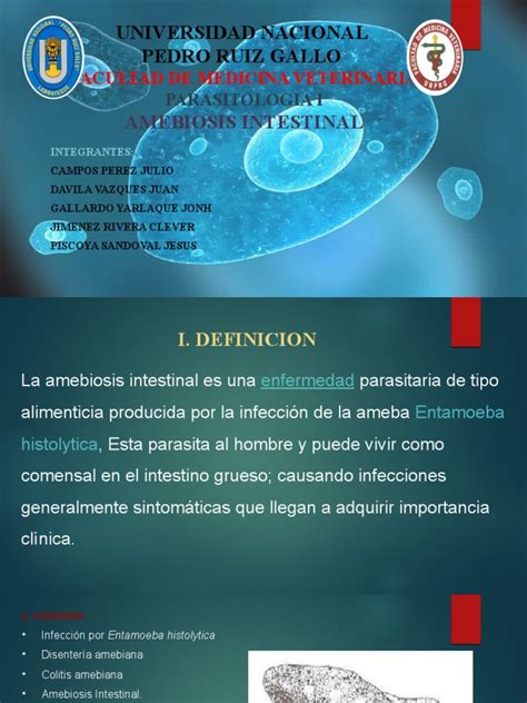 Amebiasis Intestinal Morfología Ciclo De Vida Síntomas Diagnóstico Y Tratamiento De