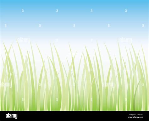 Vector Grass Illustration Background Stock Vector Image And Art Alamy