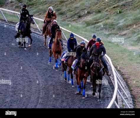 Horse Trainer John Gosden Hi Res Stock Photography And Images Alamy