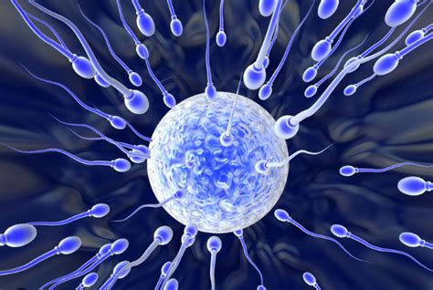 Sperm Banking Fertility Sex And Testosterone Replacement — Tcaf