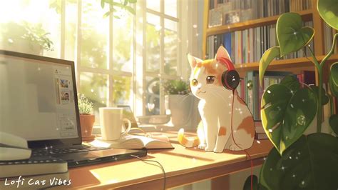 Music For When You Are Stressed Chill Lofi Music To Relax Study