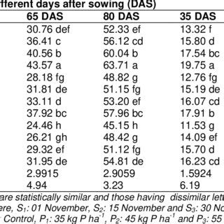 The Combined Effect Of Different Sowing Dates And Phosphorus Level On