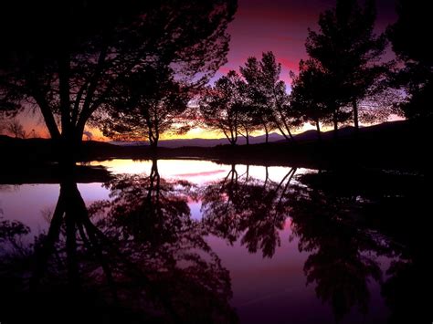 Wallpaper Trees Landscape Sunset Night Lake Water Nature