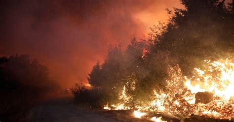 Incêndios em Portugal já arderam mais de 93 mil hectares este ano