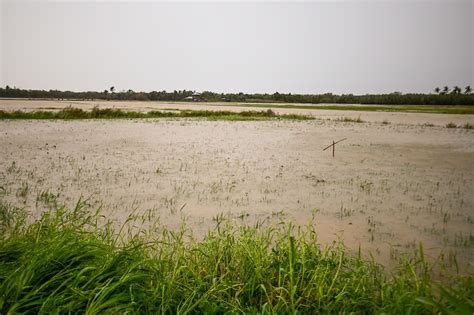 Pinsala Sa Agrikultura At Imprastraktura Dulot Ng Bagyong Egay Umabot