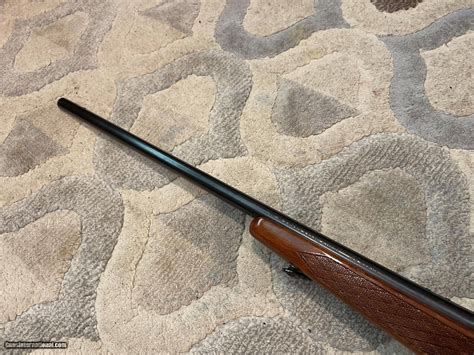 Remington 700 ADL 22 250 Cal Rifle Walnut Stock Bolt Action Rifle Great