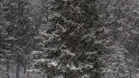 snowstorm | Christopher Martin Photography