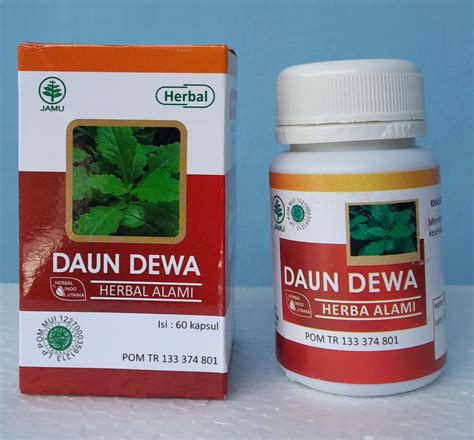 Jual Kapsul Daun Dewa di Denpasar Bali – Jual produk Herbal di Denpasar Bali