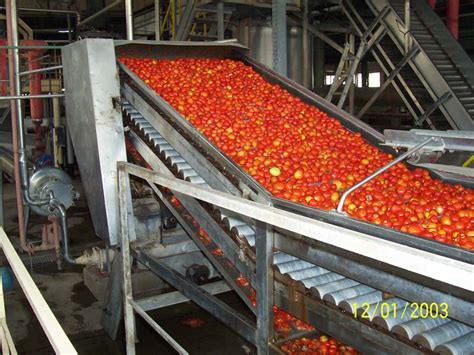 Automatic Electric Tomato Processing Line For Food Packaging Power