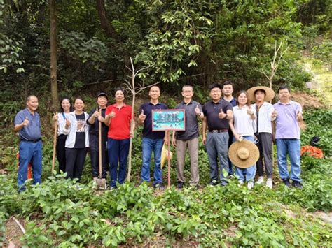 党建领航，绿美侨乡—市土地储备中心党支部联合三江镇临步村党支部开展“我在侨乡种棵树”暨爱国卫生主题党日活动工作动态江门市土地储备中心