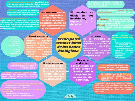 Principales temas vistos de las bases biológicas Lylo uDocz