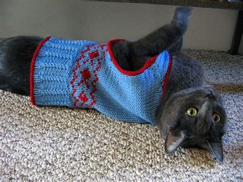 Cat Sweater Knitting Pattern A Knitting Blog