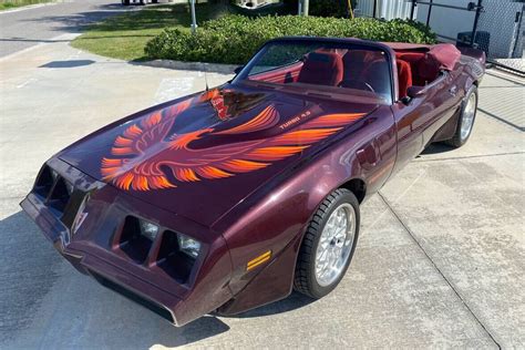 Turbocharged Convertible: 1981 Pontiac Trans Am | Barn Finds