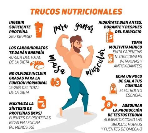 Dieta Volumen Gana Masa Muscular De Forma Correcta Salud Diez