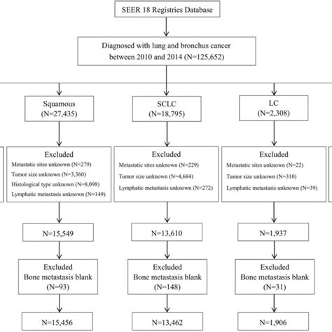 Flow Chart For Different Histological Types Of Lung Cancer Patients Download Scientific Diagram