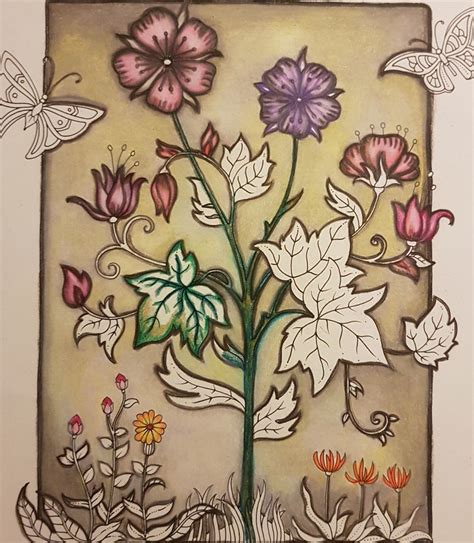 WIP Johanna Basford Coloringbooks World Of Flowers Livro De Colorir