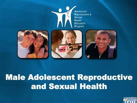 Ppt Male Adolescent Reproductive And Sexual Health Powerpoint