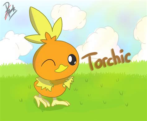 Pokemon Torchic By Ppoint555 On Deviantart