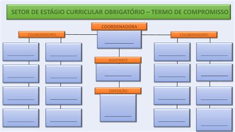 Organograma Setor De Est Gio Est Gio Supervisionado I
