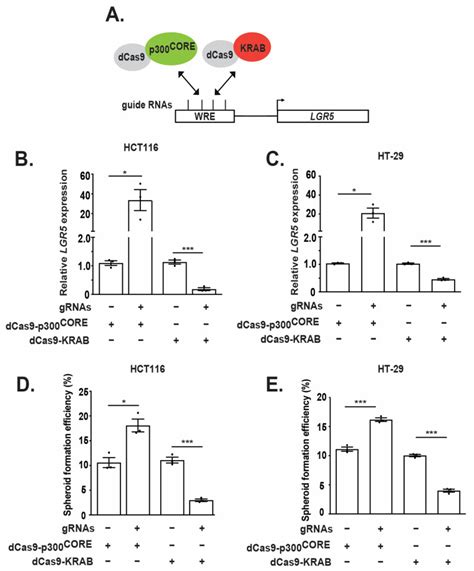 Dcas9 P300 Addgene Inc Bioz