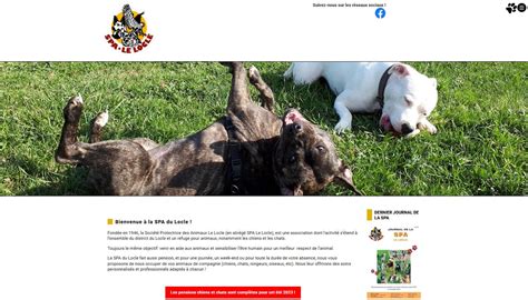 Spa Soci T Protectrice Des Animaux Le Locle Placement Et Adoption