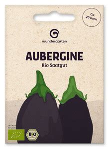 Aubergine De Barbentane Bio Auberginensamen Von Bingenheimer Saatgut