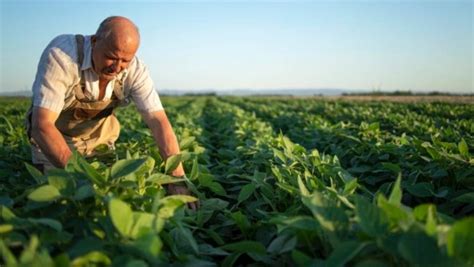 Coag Espa A Camina Hacia Una Agricultura Sin Agricultores