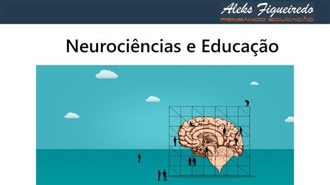 Neuroci Ncias E Educa O Youtube