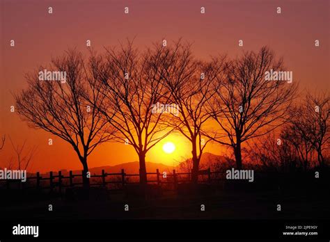 sunset in korea Stock Photo - Alamy