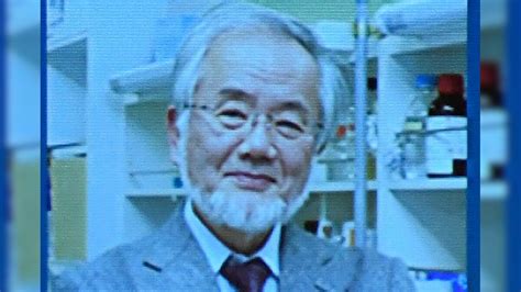 Yoshinori Ohsumi Wins Nobel Prize in Medicine For his Work on Autophagy