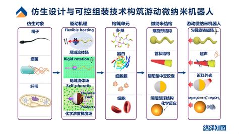 胶质瘤又添新疗法，游动微纳机器人或成精准医疗新希望 知乎