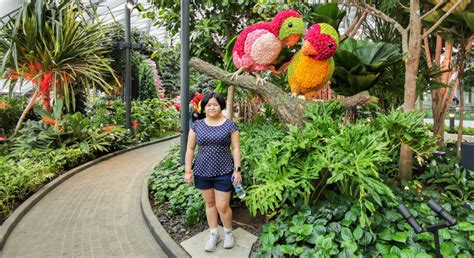 Complete Guide to Canopy Park in Jewel Changi Airport, Singapore ...