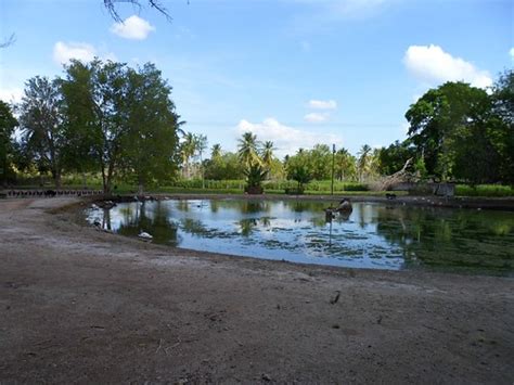 Las Aguas De Moisés Venezuela El Proyecto Centro Turístic Flickr