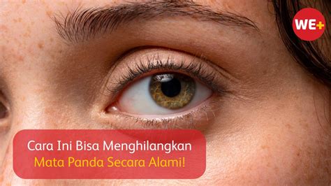 Cara Ini Bisa Menghilangkan Mata Panda Secara Alami We Blog