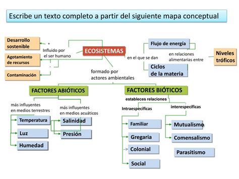 Flujo De Materia Y Energia En Los Ecosistemas Mapa Conceptual