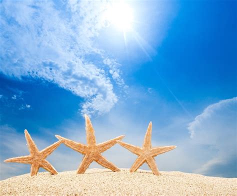 Estrela Do Mar Na Areia Da Praia Fechar Se Foto Premium