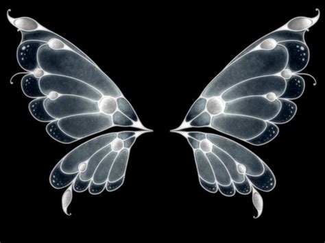 Black Butterfly Wings Wallpaper | Butterfly Background Wallpapers